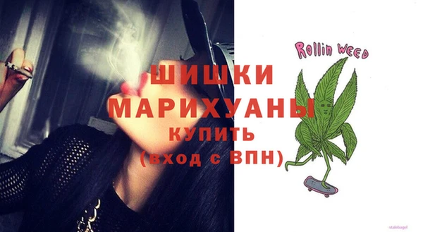 PSILOCYBIN Горняк