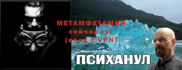 PSILOCYBIN Горняк