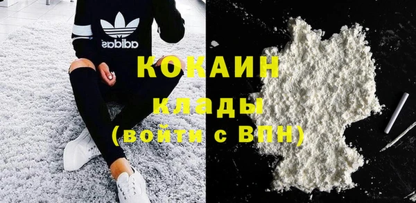 PSILOCYBIN Горняк