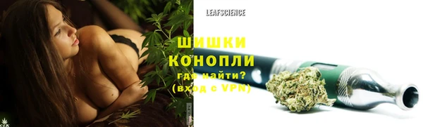 PSILOCYBIN Горняк