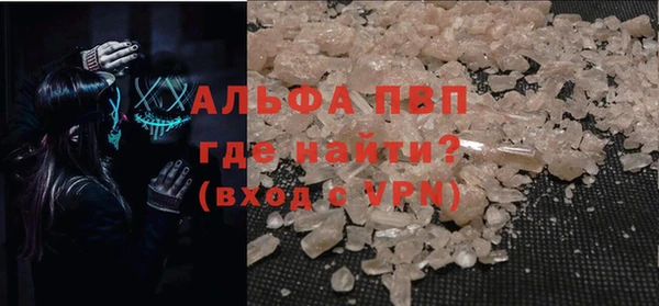 PSILOCYBIN Горняк