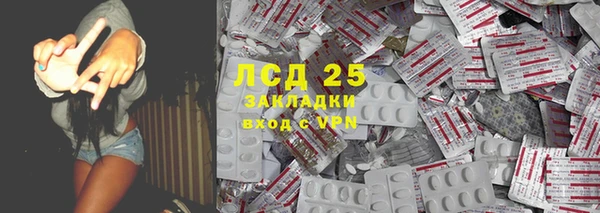 PSILOCYBIN Горняк