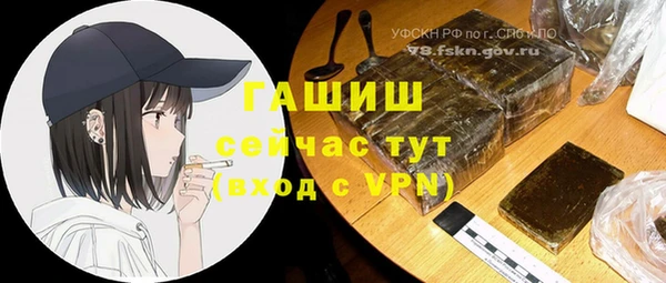 PSILOCYBIN Горняк