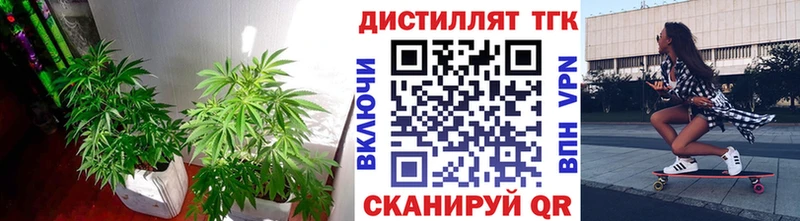 Дистиллят ТГК Wax Купить закладки Кинель