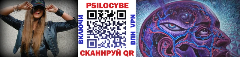Купить где  Кинель  Галлюциногенные грибы Cubensis 